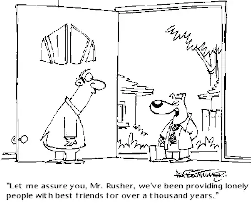 Funny Dog Cartoon